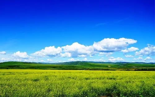 深港強化生態環境領域規則銜接與機制對接，攜手共赴美麗中國先行區之約 