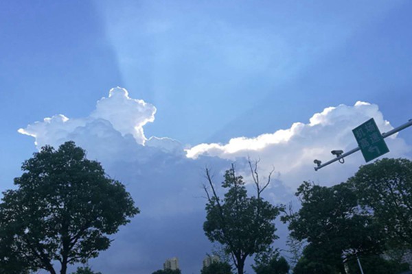 安徽臭氧防控的科技逆襲：走航監測精準狙擊，污染天數驟降近三成！