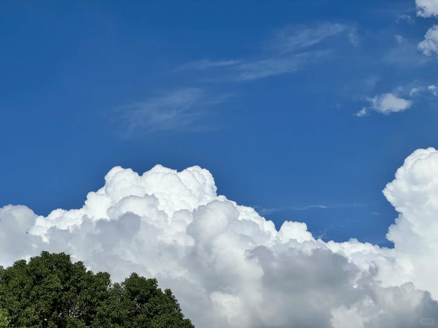 廣州藍，8微克閃耀全運！從化綠，6微克奠定基石！