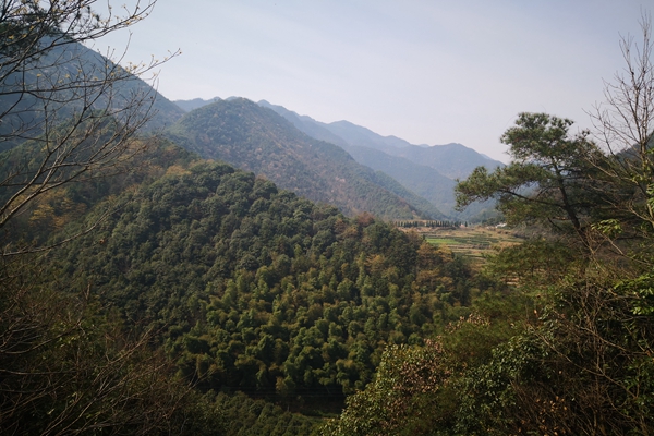 甘肅“五棋聯動”筑牢西部生態屏障，PM2.5平均濃度連續兩年同比下降