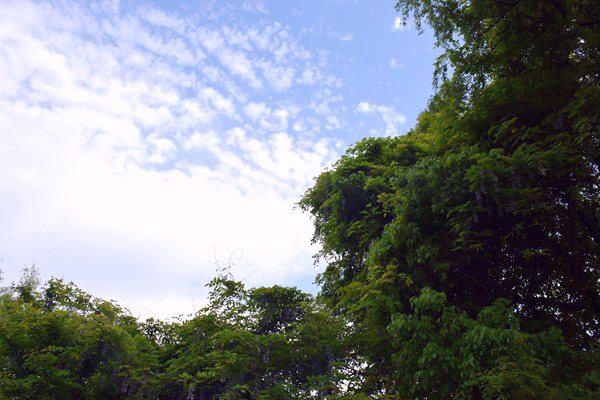 生態環境部部長黃潤秋出席甲烷與其他非二氧化碳溫室氣體峰會并會見外方高級代表