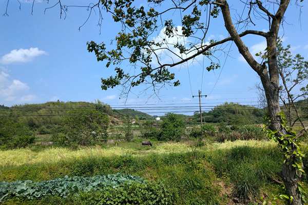 京津冀及周邊地區出現中至重度污染，多地啟動預警積極應對